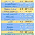 01 Promoções-Descontos-45381.jpg